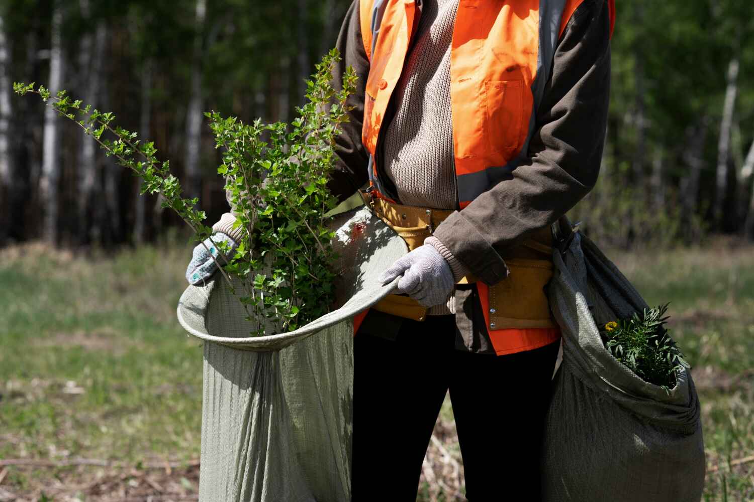 Best Tree Stump Removal  in Lake Magdalene, FL